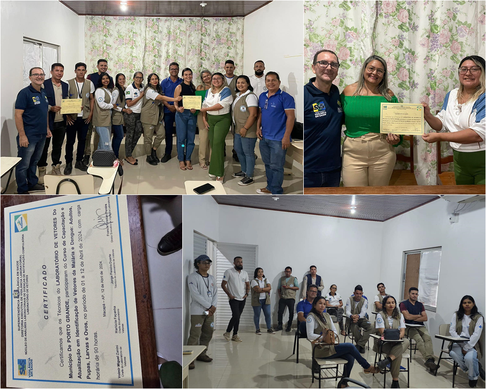 CONCLUSÃO DO CURSO DE CAPACITAÇÃO - ENDEMIAS